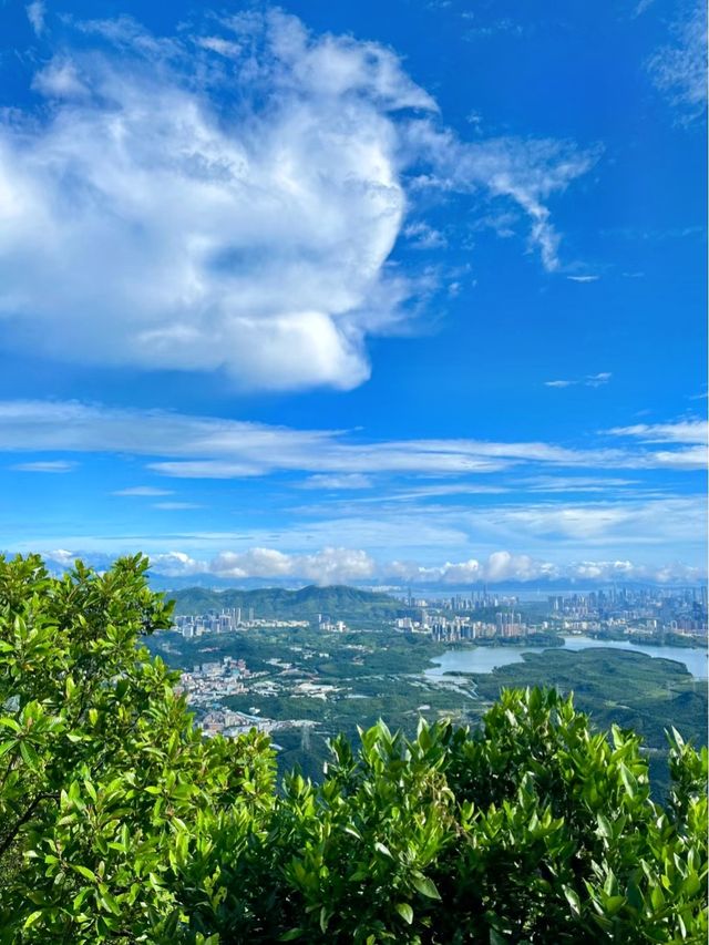 深圳徒步推薦｜最美環城綠道·陽台山 附詳細攻略!