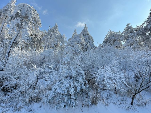 大雪將至九宮山的雪景萬萬不能錯過