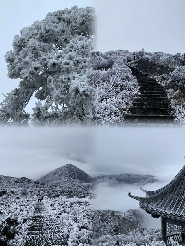 郴州莽山|霧凇美景