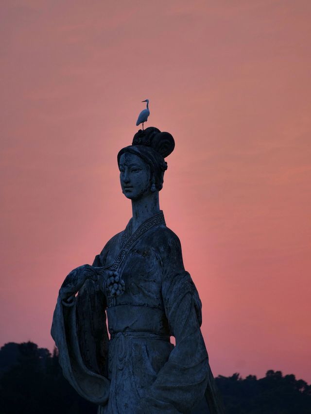 肇慶端州｜星湖濕地公園｜大自然美得不像話