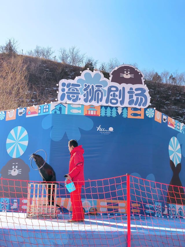 你是不是和我一樣，來了就就就不想走啦
