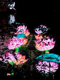 燈火輝煌，龍舞金陵——白鷺洲公園的燈會奇遇