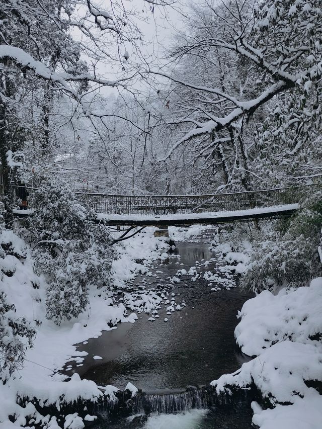 我在這裡看到了大雪紛飛這裡雪超厚