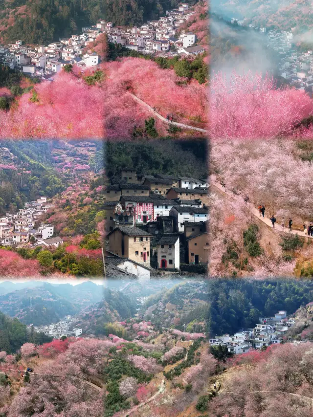 Enjoying the spring and admiring the plum blossoms, this fairy village in southern Anhui is amazing