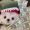 Taylor_Mia_9