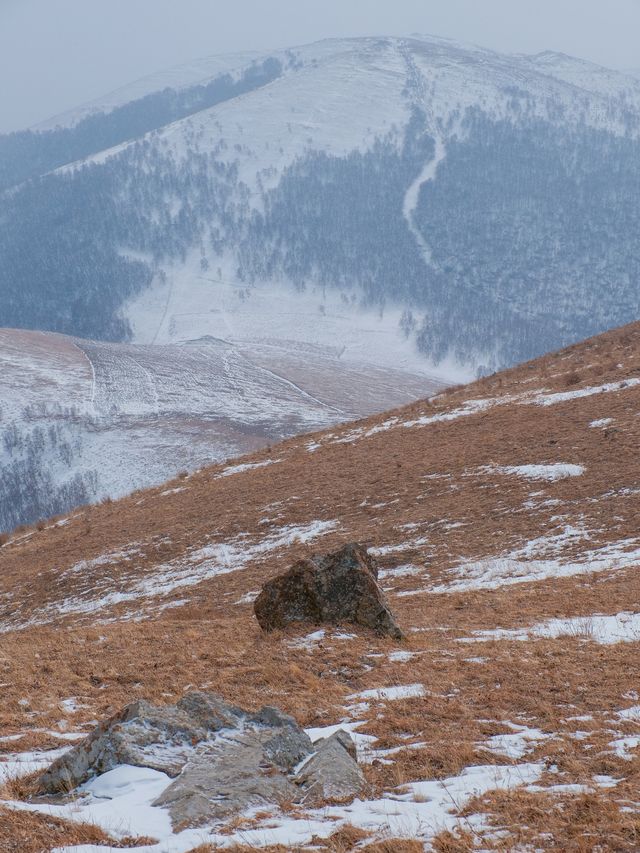 初春崇禮三樑｜又遇風雪交加的山野體驗