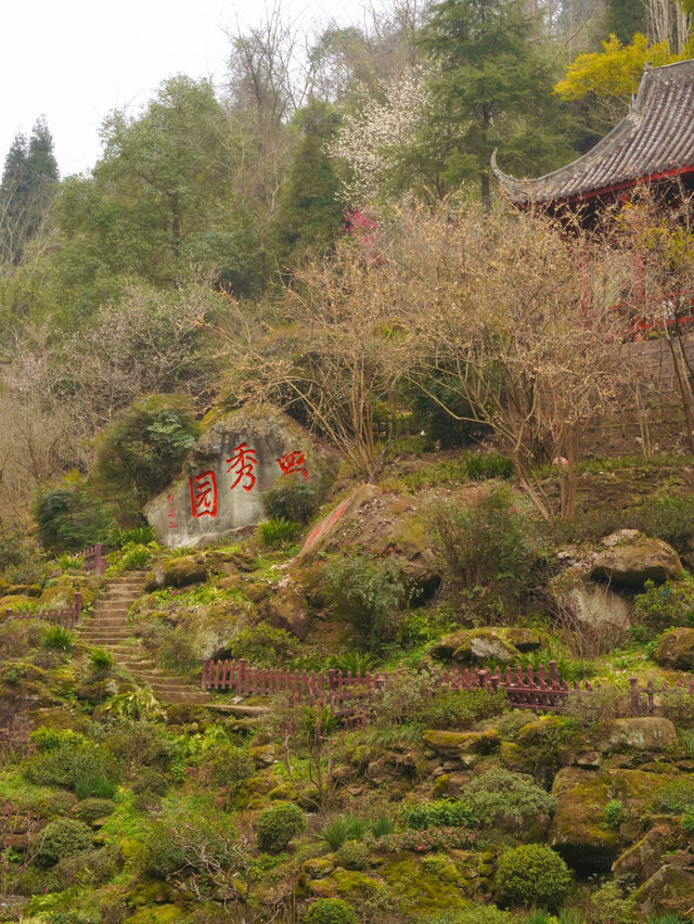 2024親子徒步第1座山 | 賞花人文祈福徒步