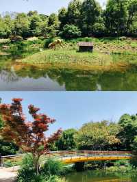 成都遛娃好地方|紅石公園遊樂區