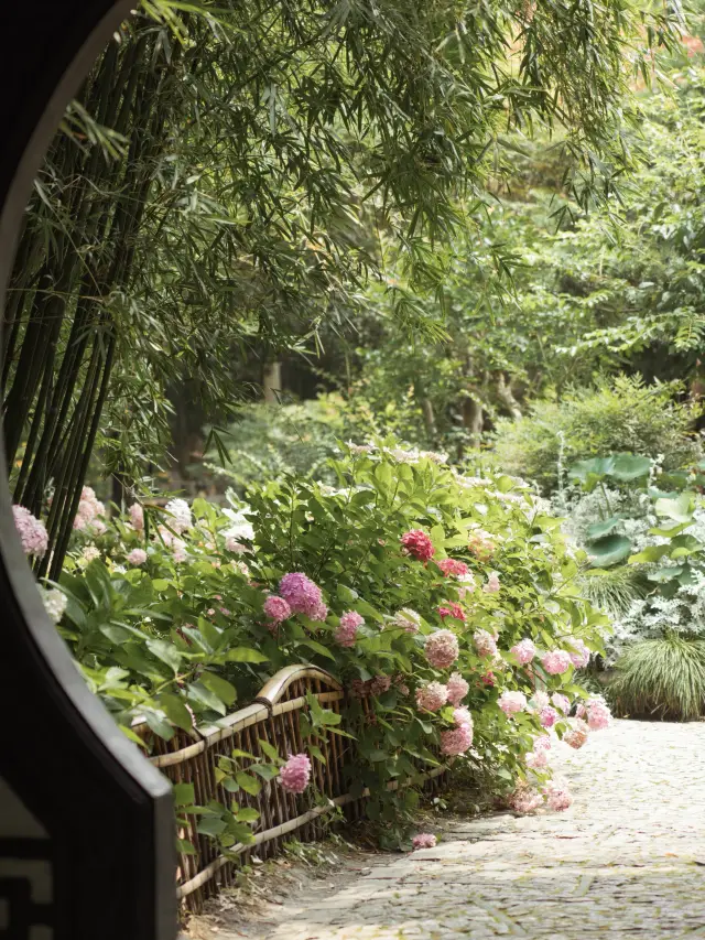 無盡夏的花期，初夏的開始