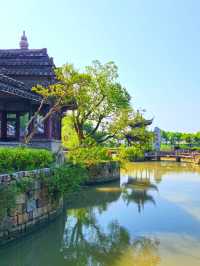 馬橋農民造公園，美麗韓香水博園