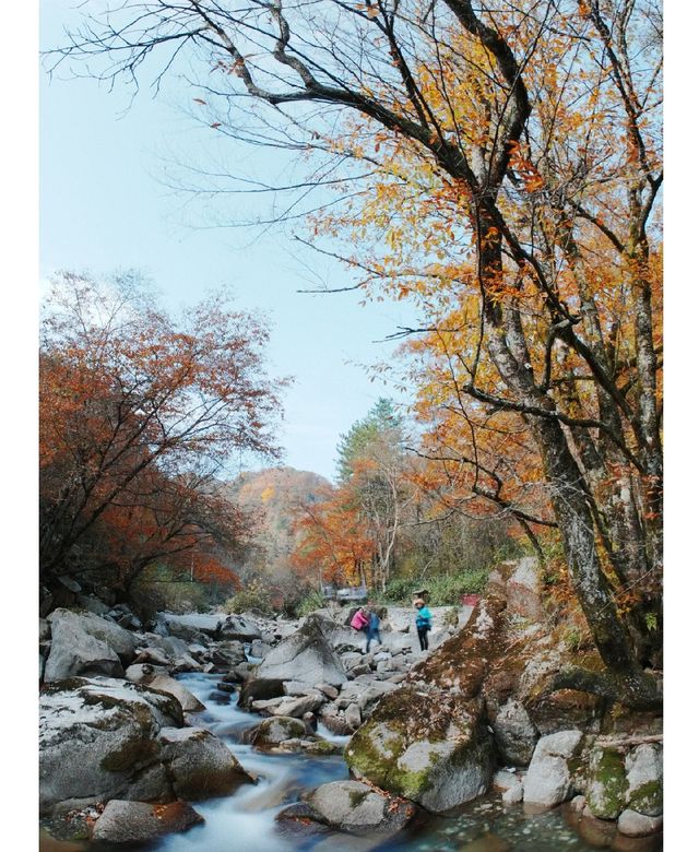 中國紅葉之鄉米倉山