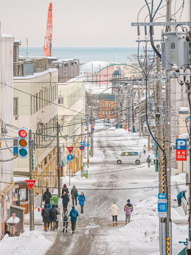 來日本小樽旅行必知的5件事！