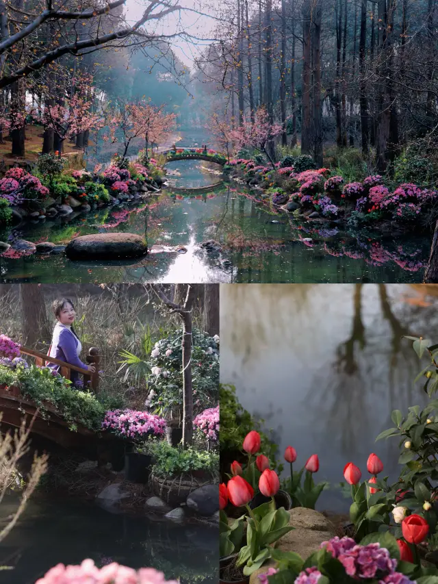 Wuxi's spring season is limited, and the upcoming Lingshan will be as beautiful as an oil painting