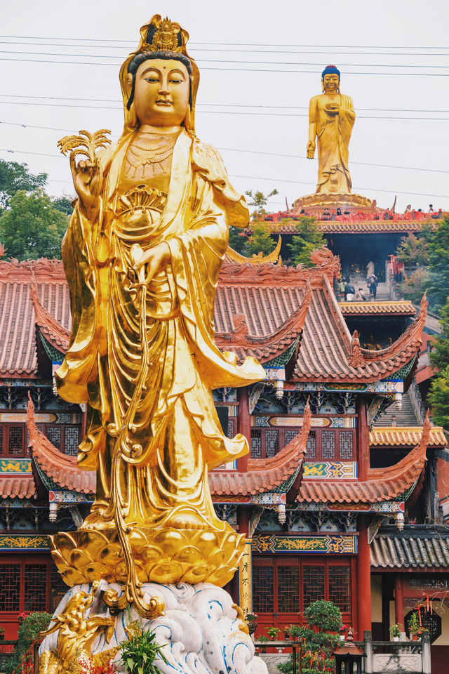 超靈驗來成都絕對不能錯過的震撼古寺