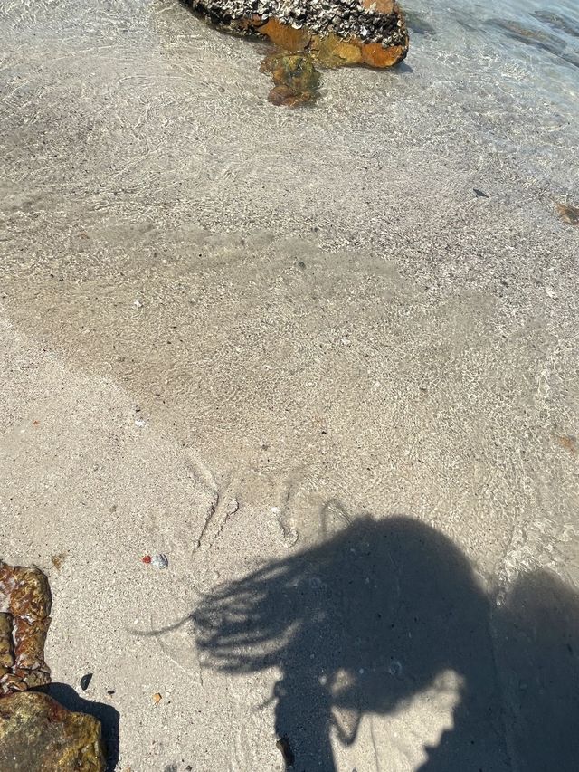 家人們！我在深圳這裡竟然看到了玻璃海！就在鹿嘴山莊啊啊！