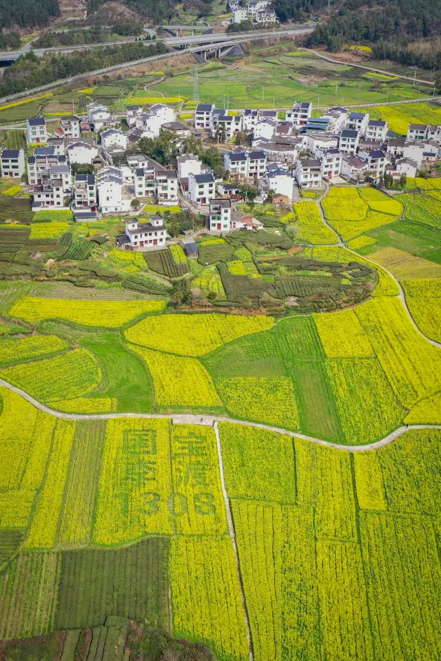 ขับรถไปชมดอกไม้ที่ Wuyuan ทางทั้งหมดเต็มไปด้วยฤดูใบไม้ผลิ