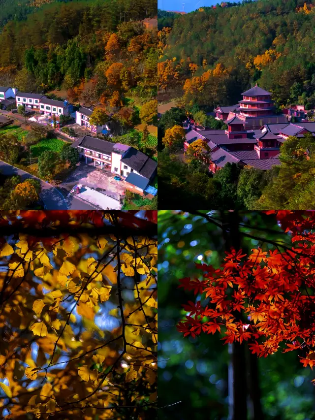 A Hidden Gem in Guangyuan, Sichuan - Zhaohua