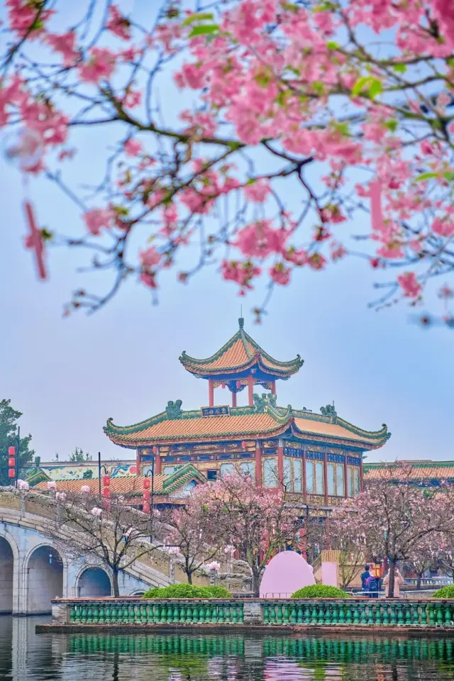 The ancient-style cherry blossom ambiance of spring in Guangzhou is too romantic