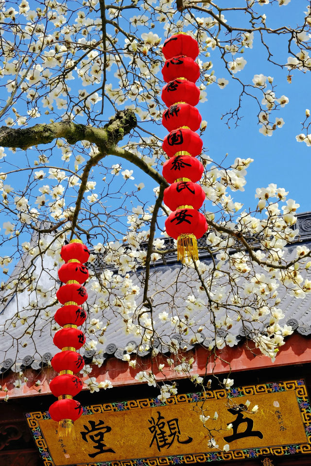 原來杭州春天所有的美好都藏在這裡！