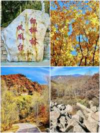 北京的初秋，先洒落在喇叭沟原始森林公園