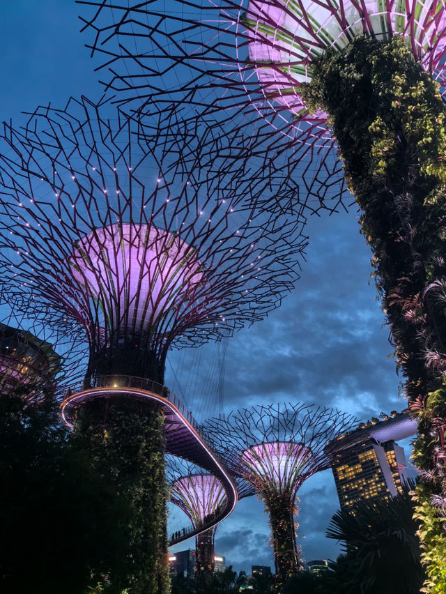 Garden by the bay Singapore  beauty 🇸🇬 