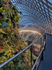 Garden by the bay Singapore  beauty 🇸🇬 