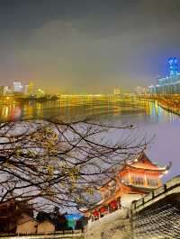 春天不「柳」走，夜景美如畫