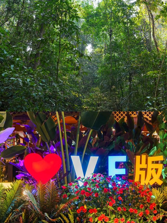 西雙版納•不可錯過的熱帶雨林探秘之旅 西雙版納•不可錯過的熱帶雨林探秘之旅