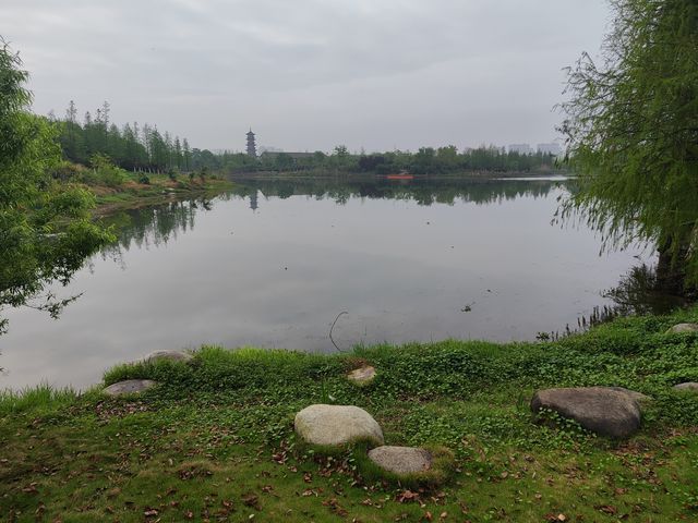 江西南昌 象湖濕地公園 洗肺絕佳地