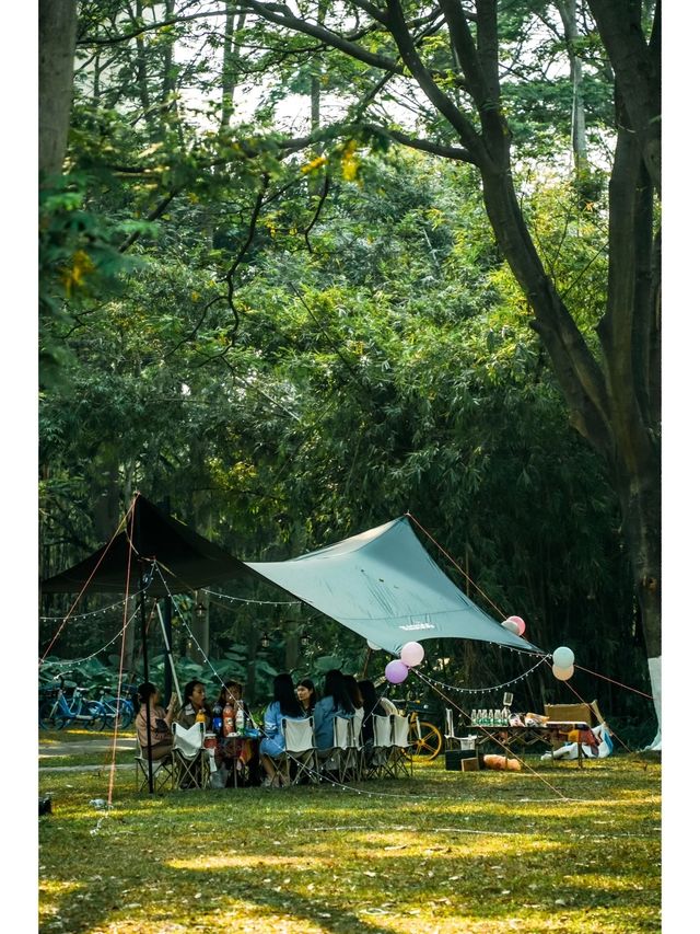 廣州春季露營·戶外野餐賞日落的免費公園推薦！