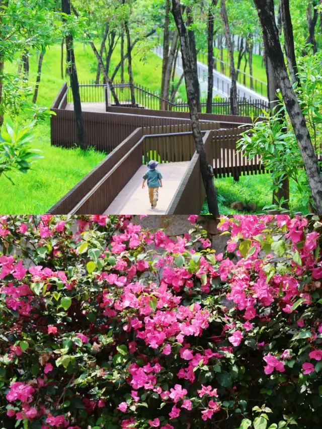 Shenzhen's Green Fairy Tale Park, with its wooden cabins, boardwalks, and sandpits, is less crowded on weekends