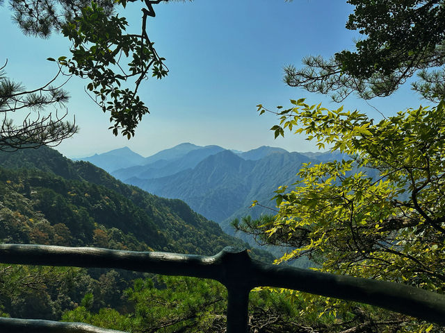 不負韶華去旅行 羊獅慕風景區