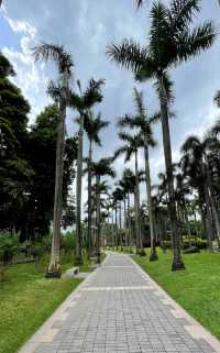 珠江公園 —— 一座適合健步走的綠色公園