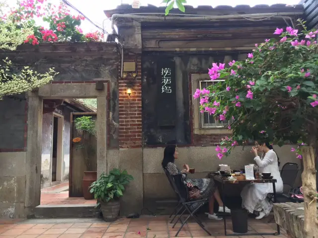 鼓浪屿赶海尝鲜—解锁岛屿美食密码