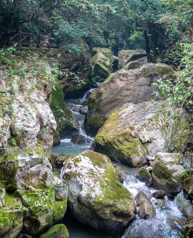 魅力湖北，神奇幻境｜九路寨景區全新升級