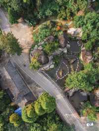 自駕長沙絕美無人森林公路，去感受林中自由的風