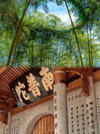 江南秘境松陽 這座中國東南的綠色寶石