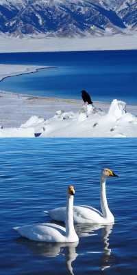 賽里木湖：藍天夢幻的絕美秘境