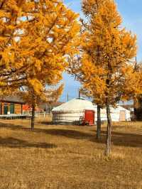 Exploring Khuvsgul Lake, Mongolia