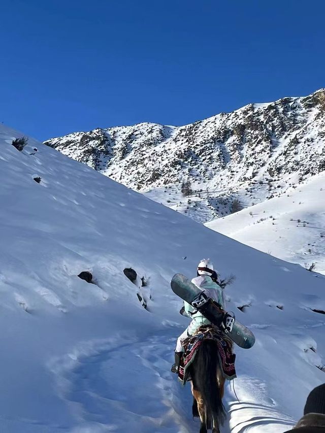 新疆阿勒泰3大滑雪場對比出行必看