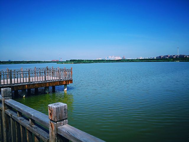 東麗湖生態美景醉遊人