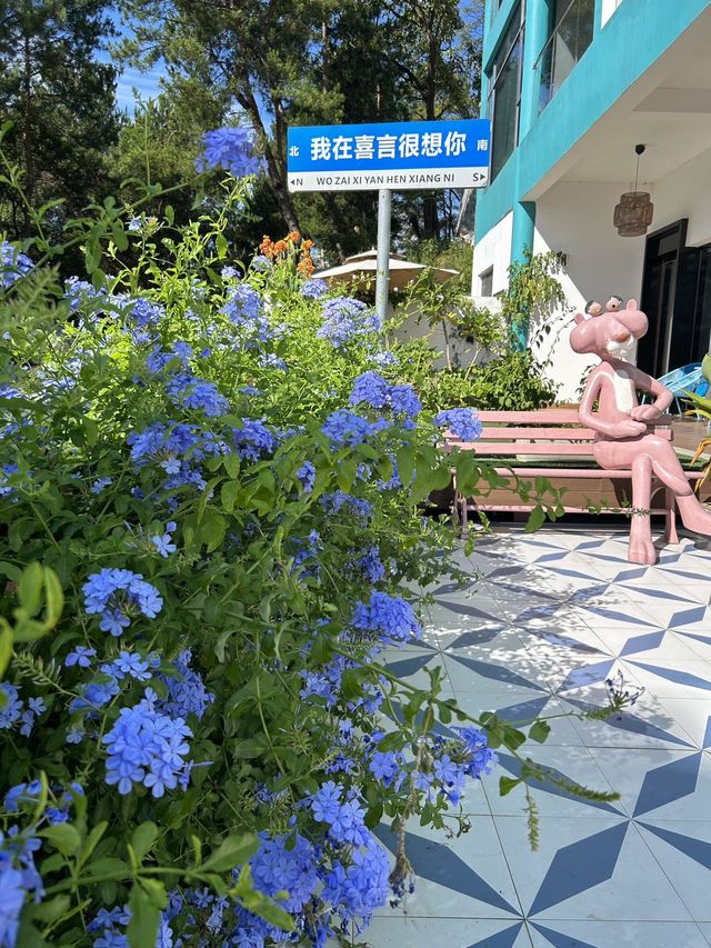 去小洱海嗎暑假兩天一夜的攻略來了