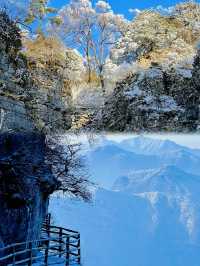 總要去一趟龍頭山吧！！看看雲海，吹吹山頂的風！！