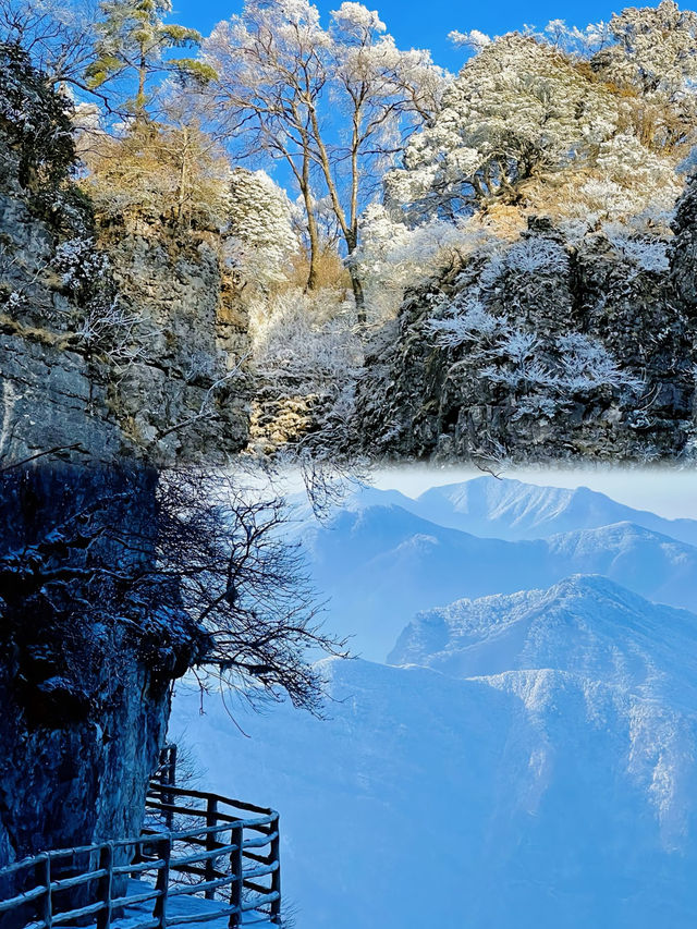 總要去一趟龍頭山吧！！看看雲海，吹吹山頂的風！！