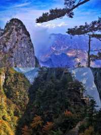 秦嶺天竺山旅遊攻略