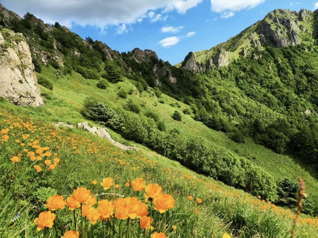 京西高山花海草甸｜夏日小五台·徒步之旅～
