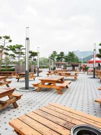 🏔️ Gangwon Getaway: Top Hotels with a View 🌟