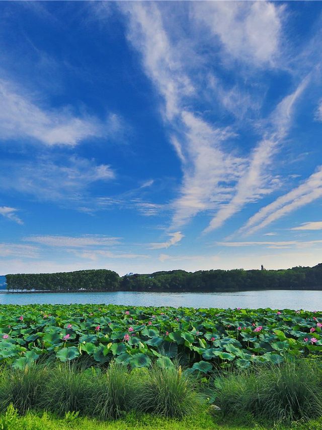 🌟 Wuhan's Lakeside Retreat: East Lake Hotel 🌊