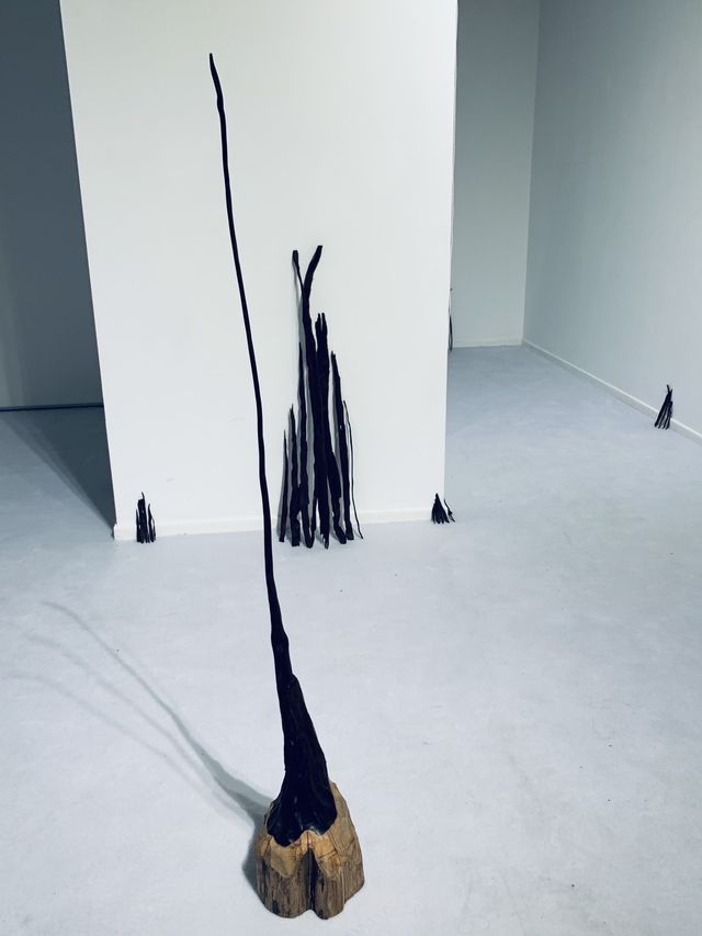 暑期看展清单,春美術館新展 暑期看展清单,春美術館新展