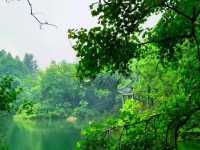 獨家揭秘，花岩溪保姆級攻略：一步一景，讓你的旅行不留遺憾！